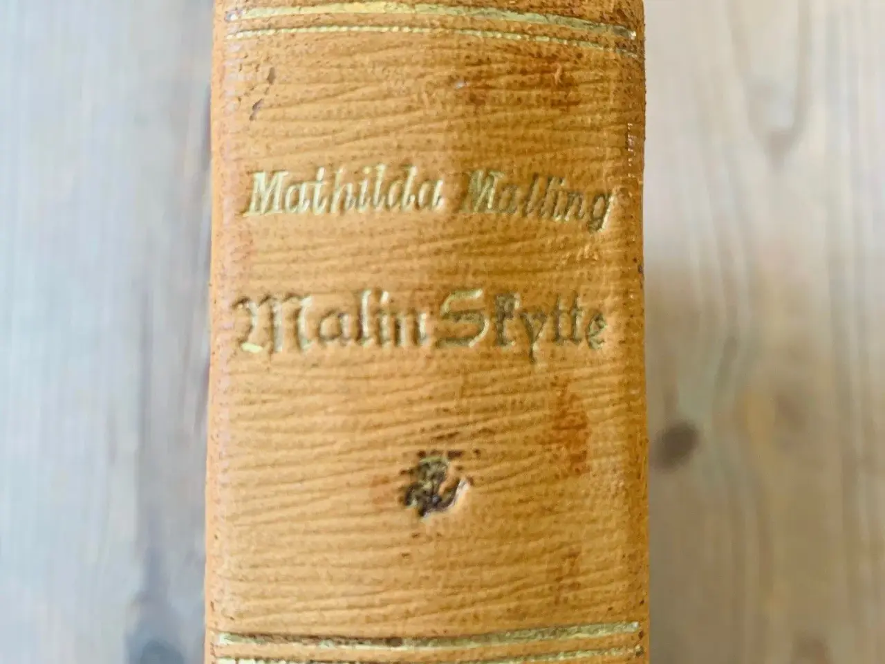 Billede 5 - Malin Skytte (1901) af Mathilda Malling