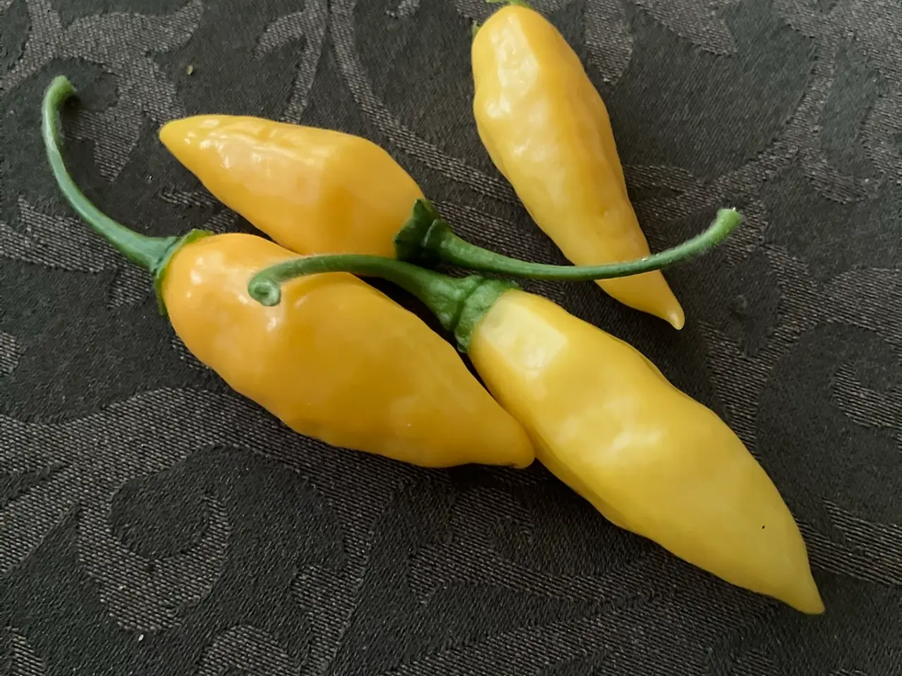 Billede 1 - lemon drop chili frø