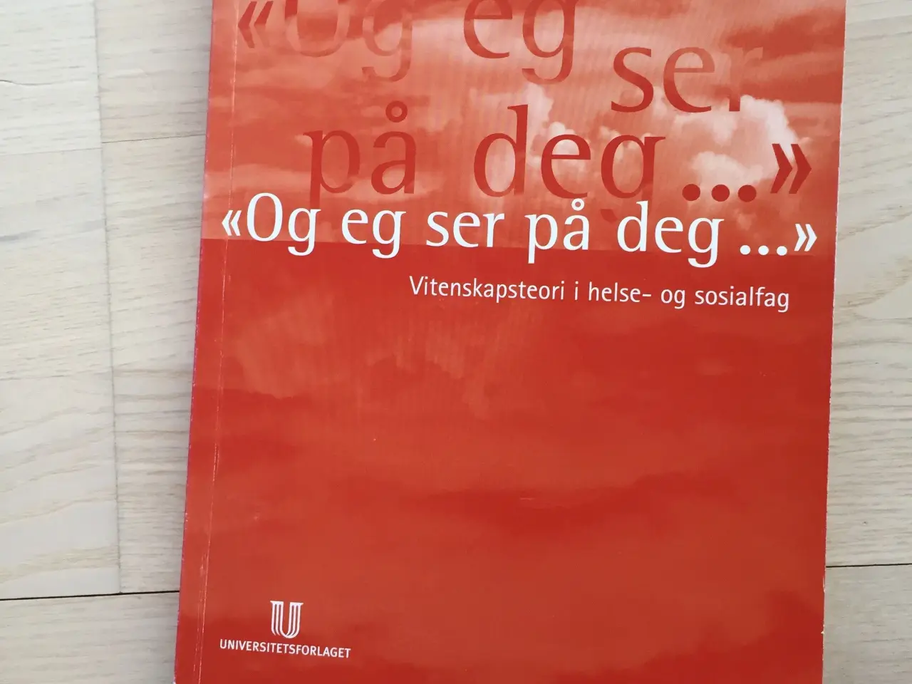 Billede 1 - Og eg ser på deg... "