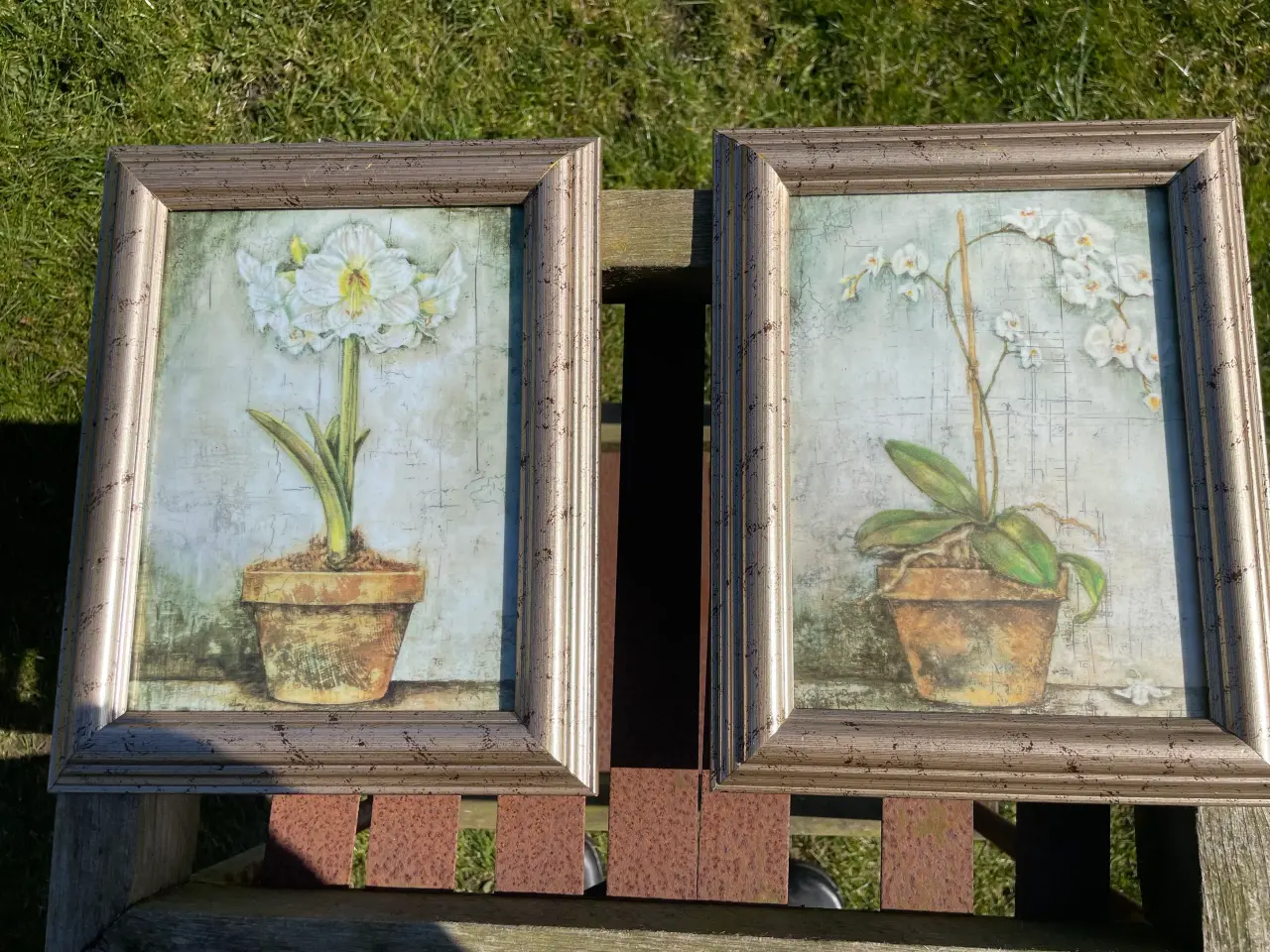 Billede 1 - Billeder med blomstermotiv