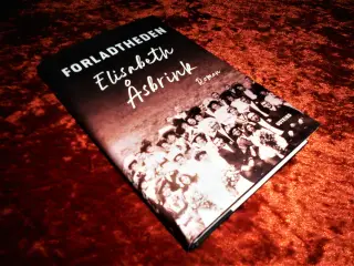 Forladtheden, Elisabeth Åsbrink