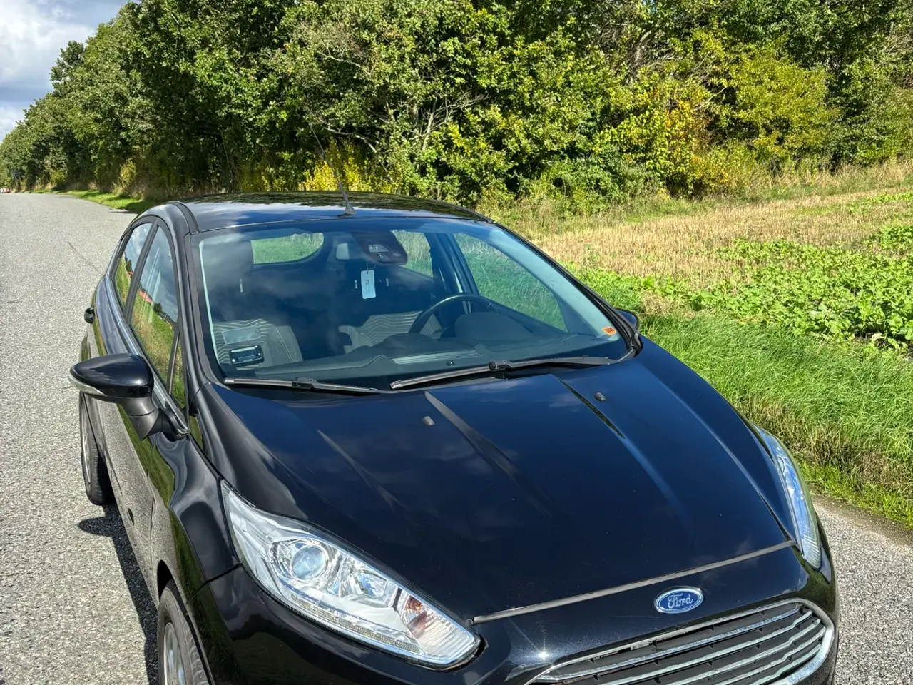 Billede 1 - Nysynet Ford Fiesta 1.0 EcoBoost Titanium 100 hk
