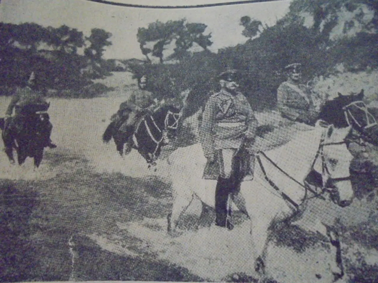 Billede 12 - VERDENSKRIGEN – 13de bind – 1918