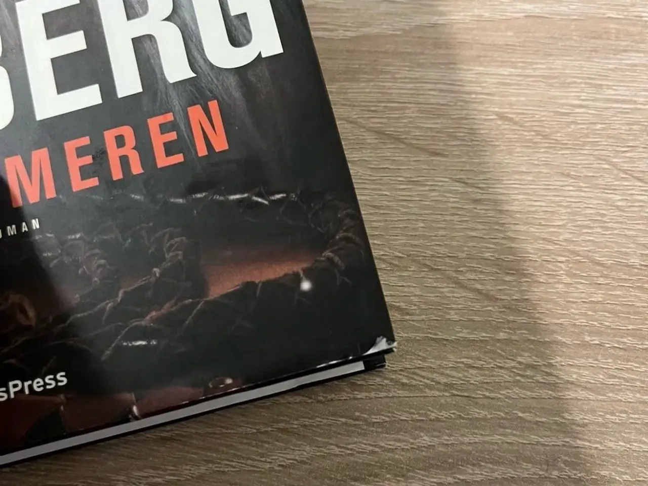 Billede 3 - Løvetæmmeren af Camilla Läckberg