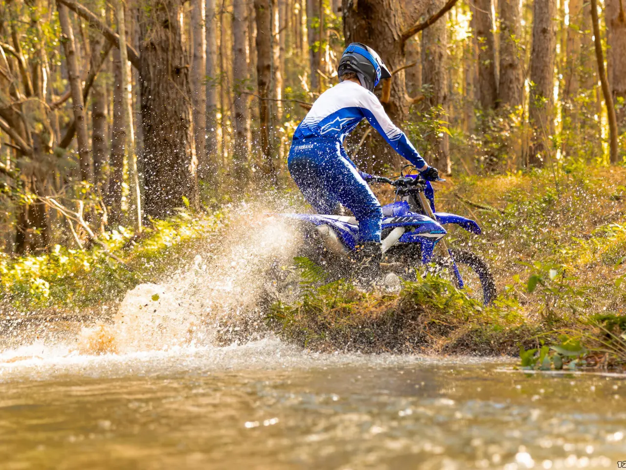 Billede 5 - Yamaha WR 250 F
