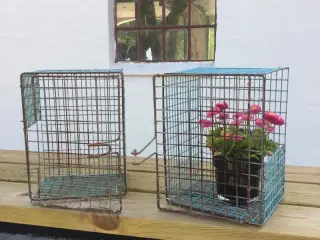 Minkbure/Minkreder