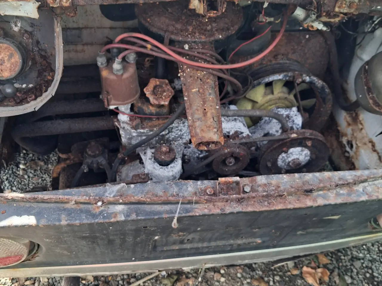 Billede 4 - Fiat 850 Sport Coupe