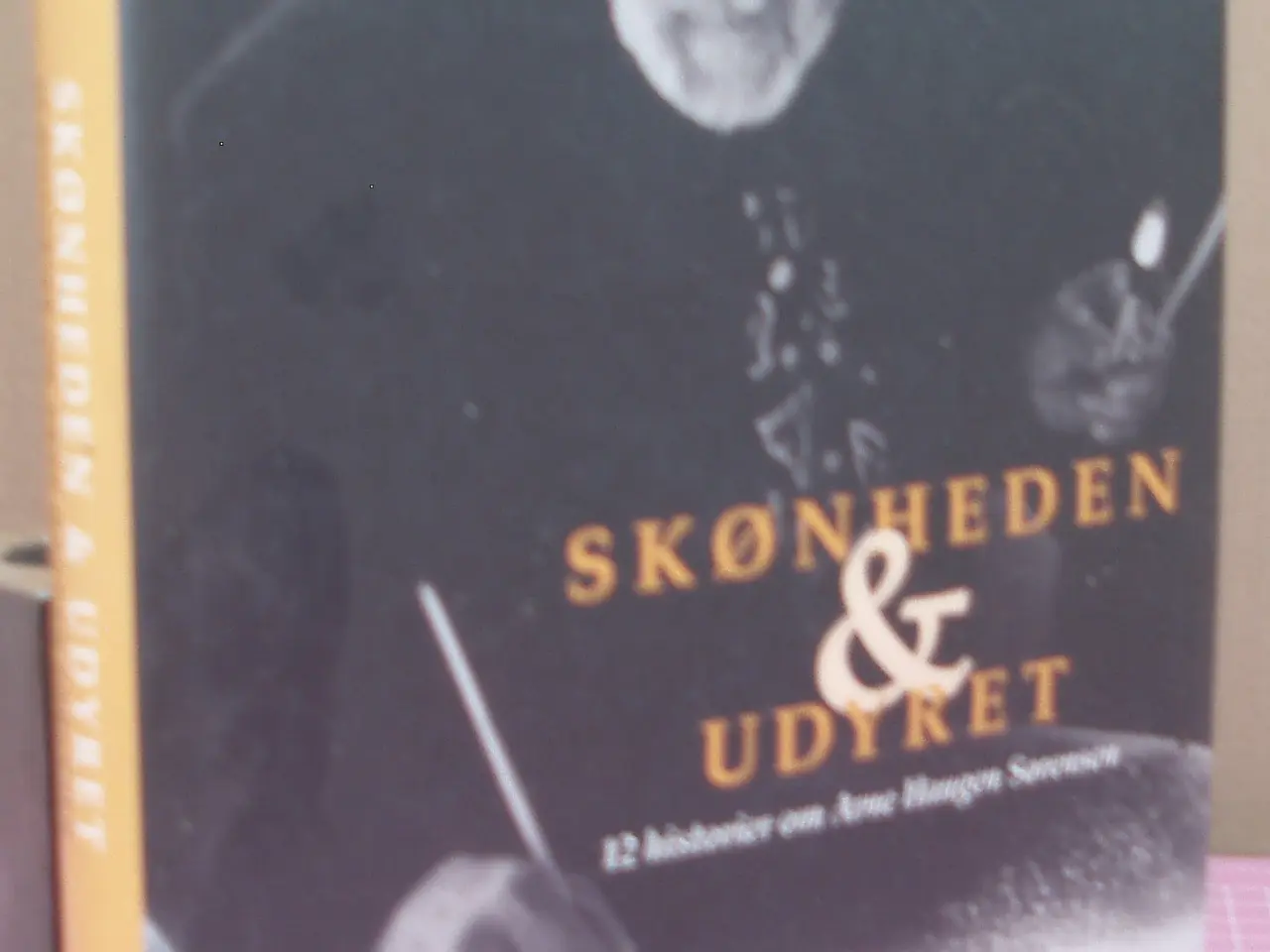 Billede 1 - Skønheden & Udyret, 12 historier om Arne Haugen