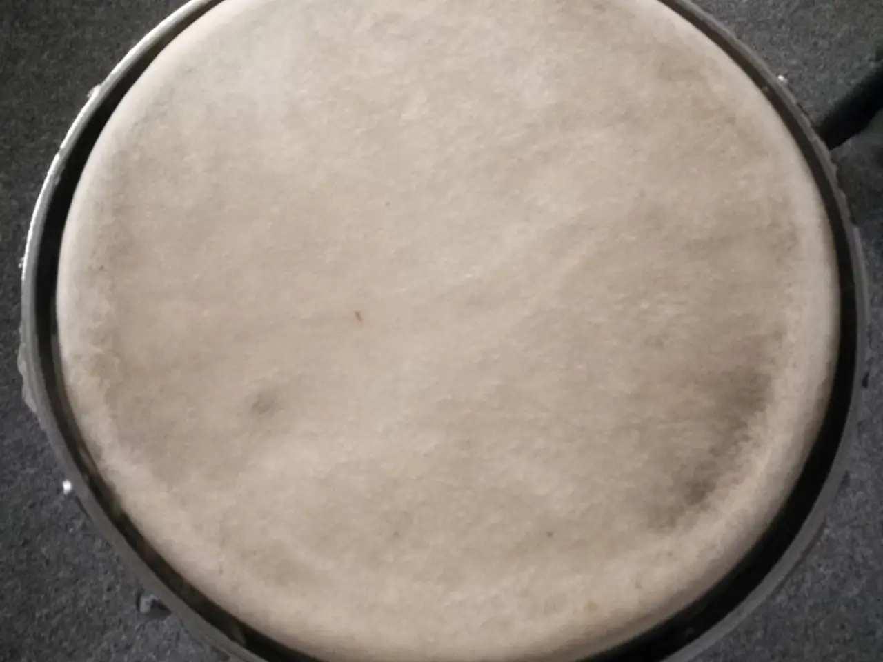 Billede 4 - God congas sælges - inkl. stativ