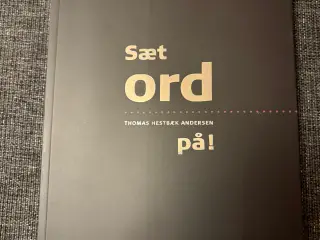 Sæt ord på