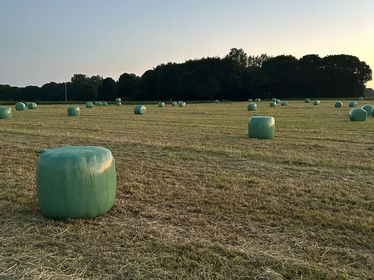 Billede 1 - HØ WRAP