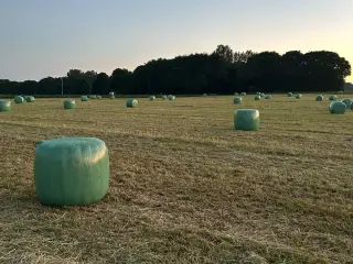 HØ WRAP