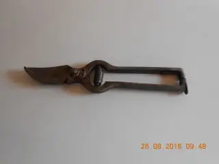 Antik saks Fjerkræ