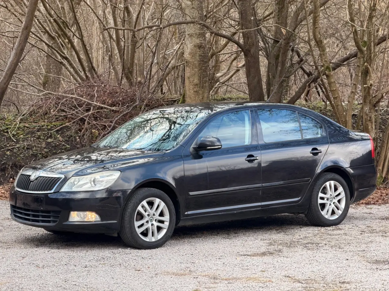 Billede 1 - Skoda Octavia 1,4 TSi 122 Ambiente