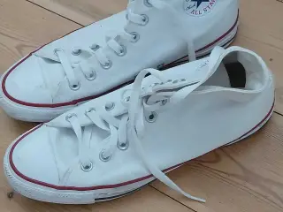 Converse dame sko str 41