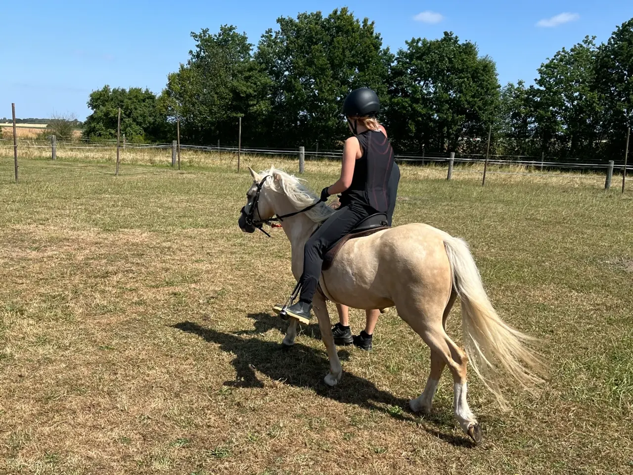 Billede 3 - Skøn pony hoppe med god spring mulighed  