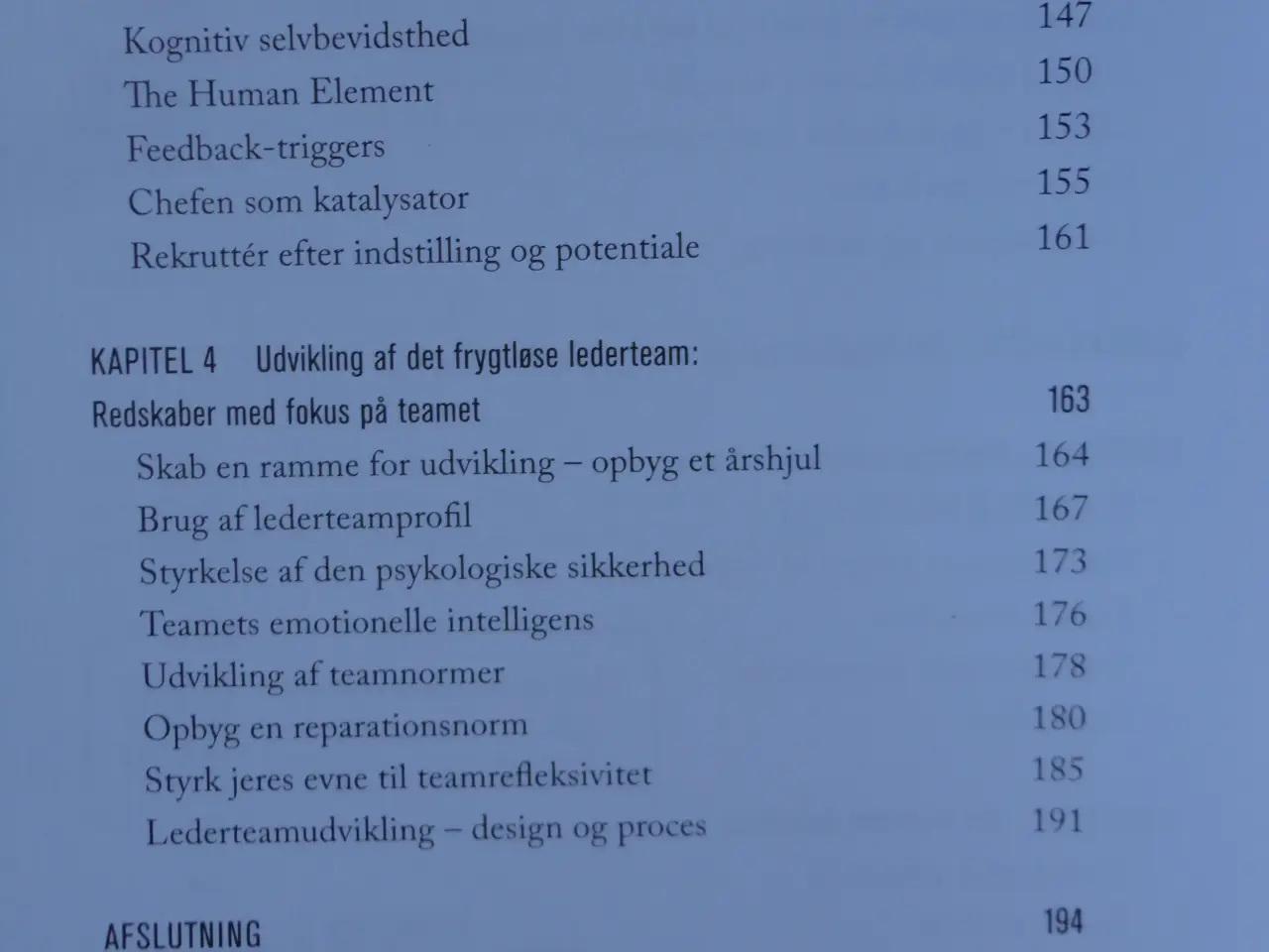 Billede 3 - Det Frygtløse Lederteam  :