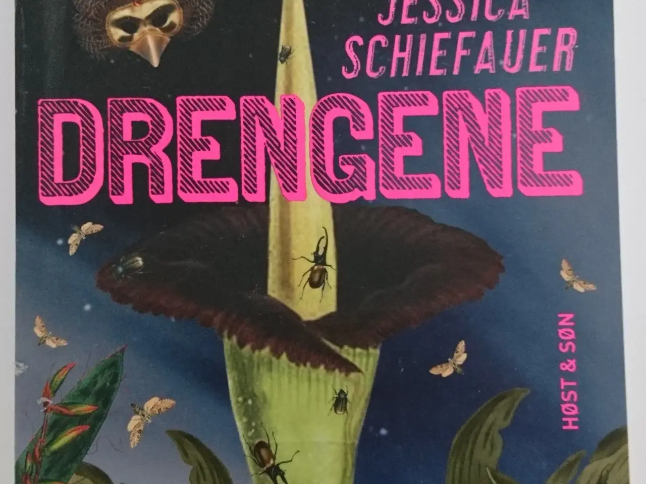 Billede 1 - Drengene Af Jessica Schiefauer