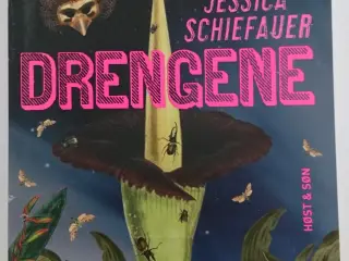 Drengene Af Jessica Schiefauer