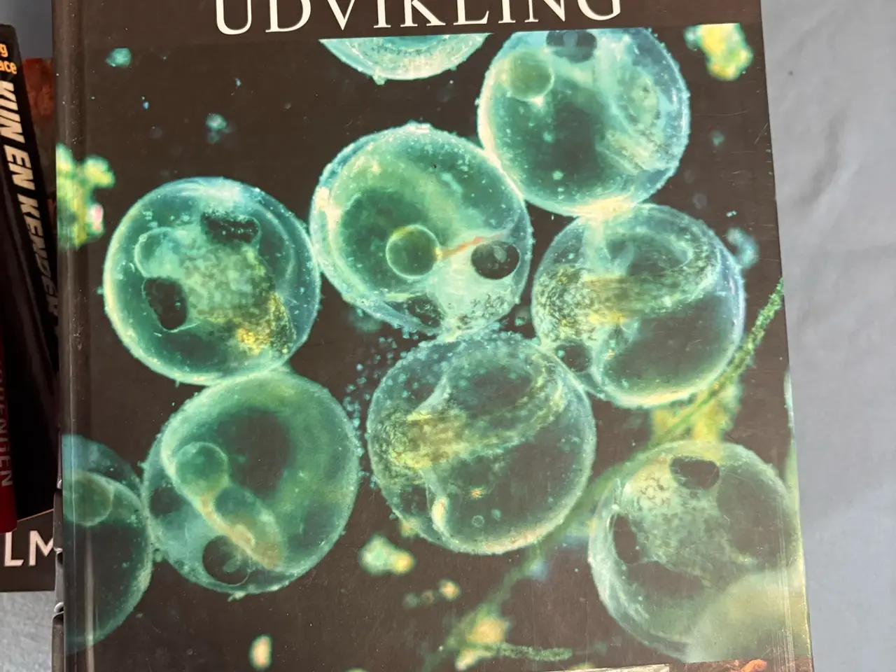 Billede 10 - Er I klar til at lave en god handel?
