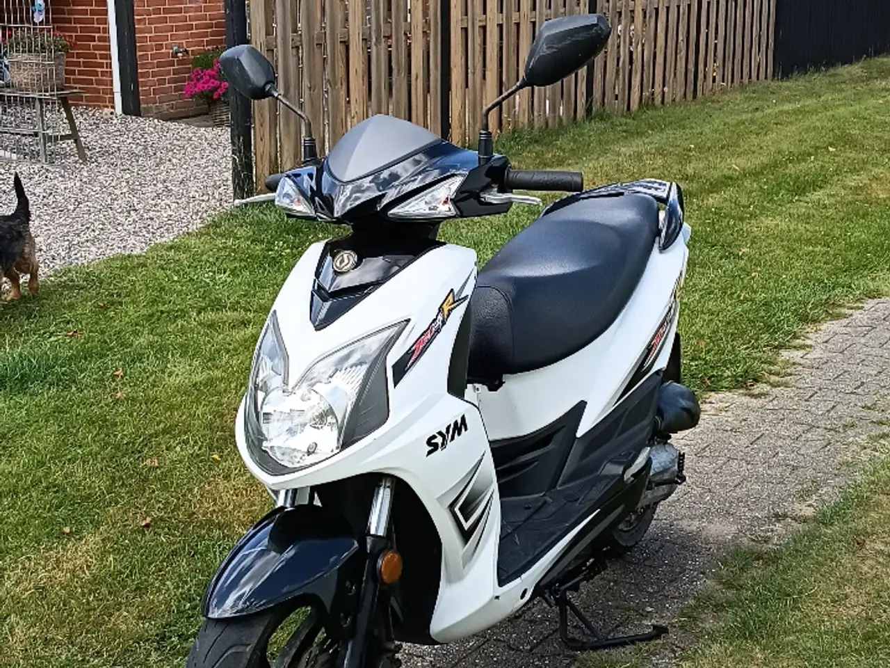 Billede 1 - Sym jet r 50 2 Taks lille knallert