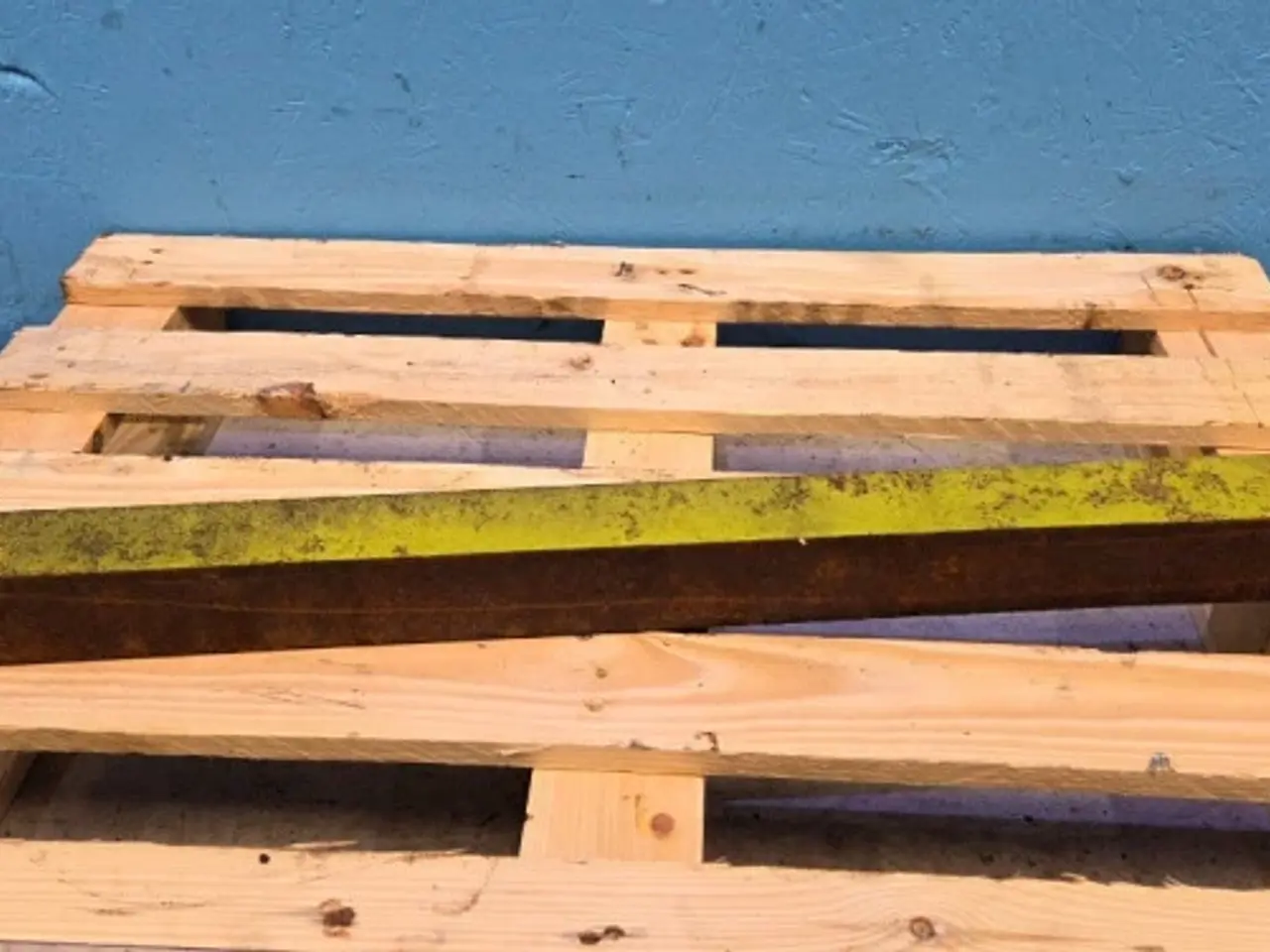 Billede 8 - Claas Jaguar 850 Kniv Plade 9843395