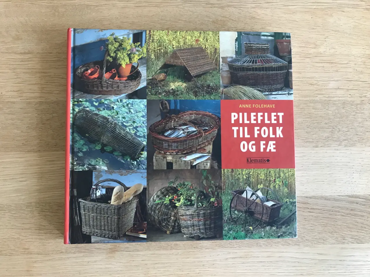 Billede 1 - Pileflet til folk og fæ  af Anne Folehave