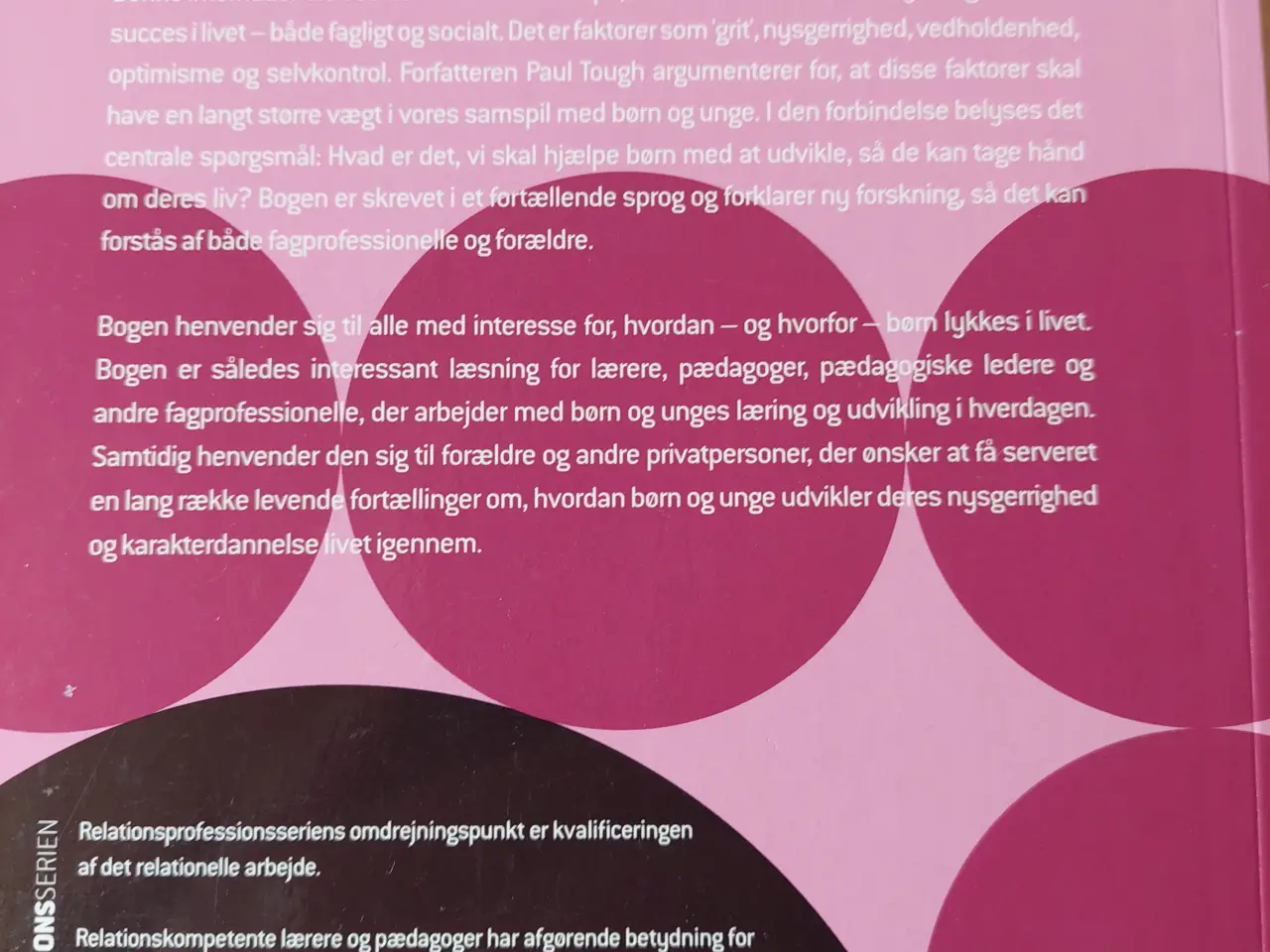 Billede 3 - Børns vej til succes