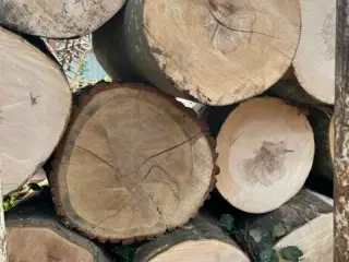 Sømblogge/Hugblogge