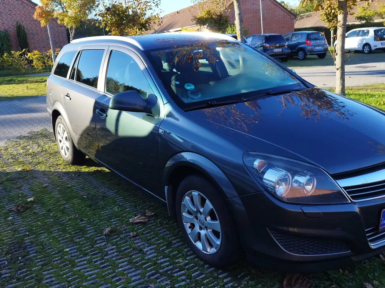 Billede 1 -