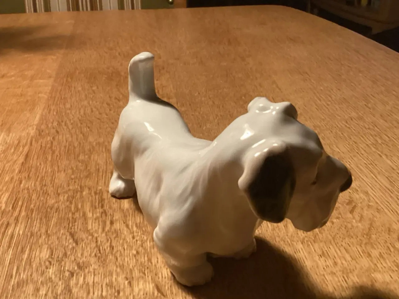 Billede 5 - Bg Skotsk Terrier Hund