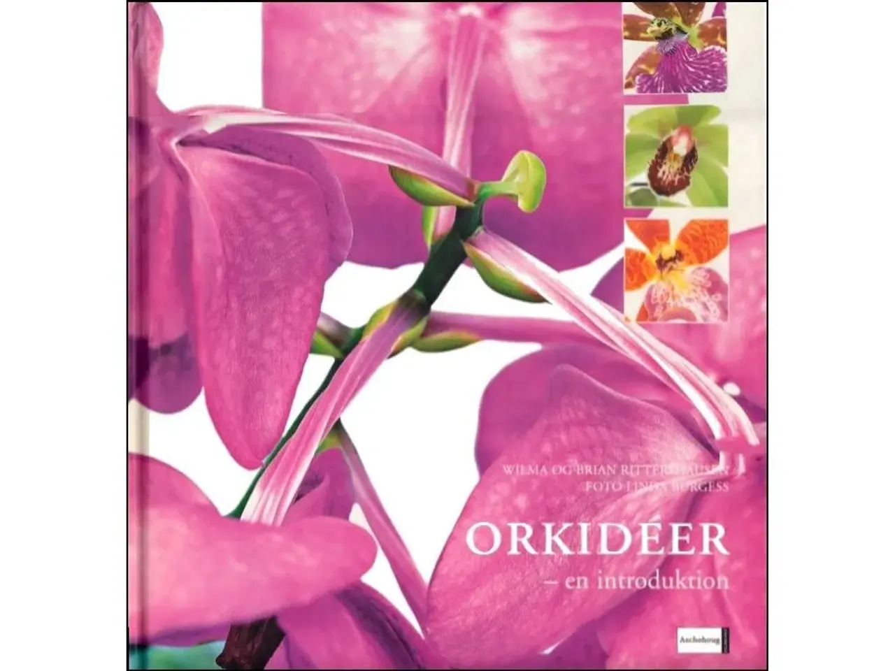 Billede 3 - Orkidéer - 7 Bøger til 60 kr./stk.
