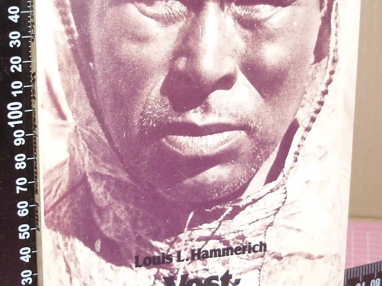 Billede 1 - Vest-eskimoernes land af Louis L. Hammerich