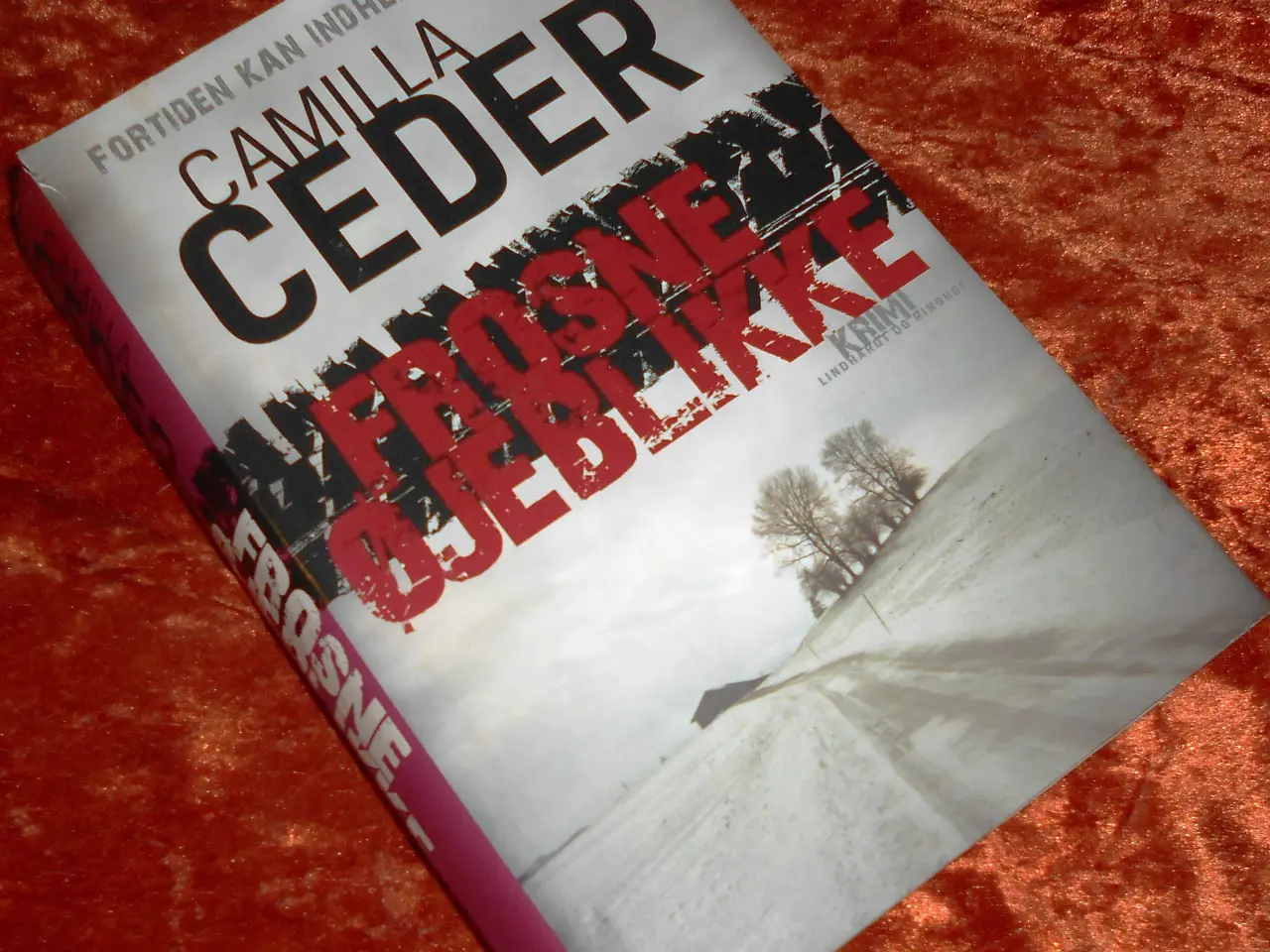 Billede 1 - Frosne øjeblikke, Camilla Ceder