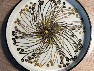 Royal Copenhagen Baca Fajance fad