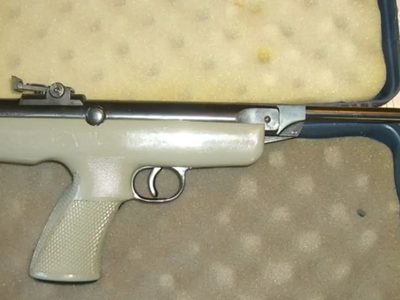Billede 1 - Diana 6 luftpistol