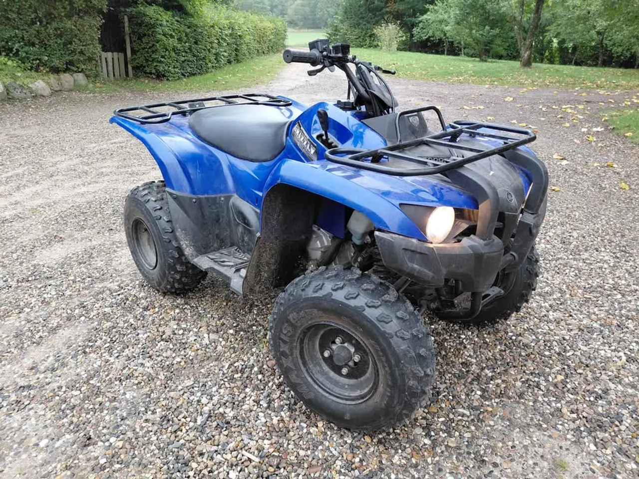 Billede 4 - Yamaha YFM Grizzly 300 ccm