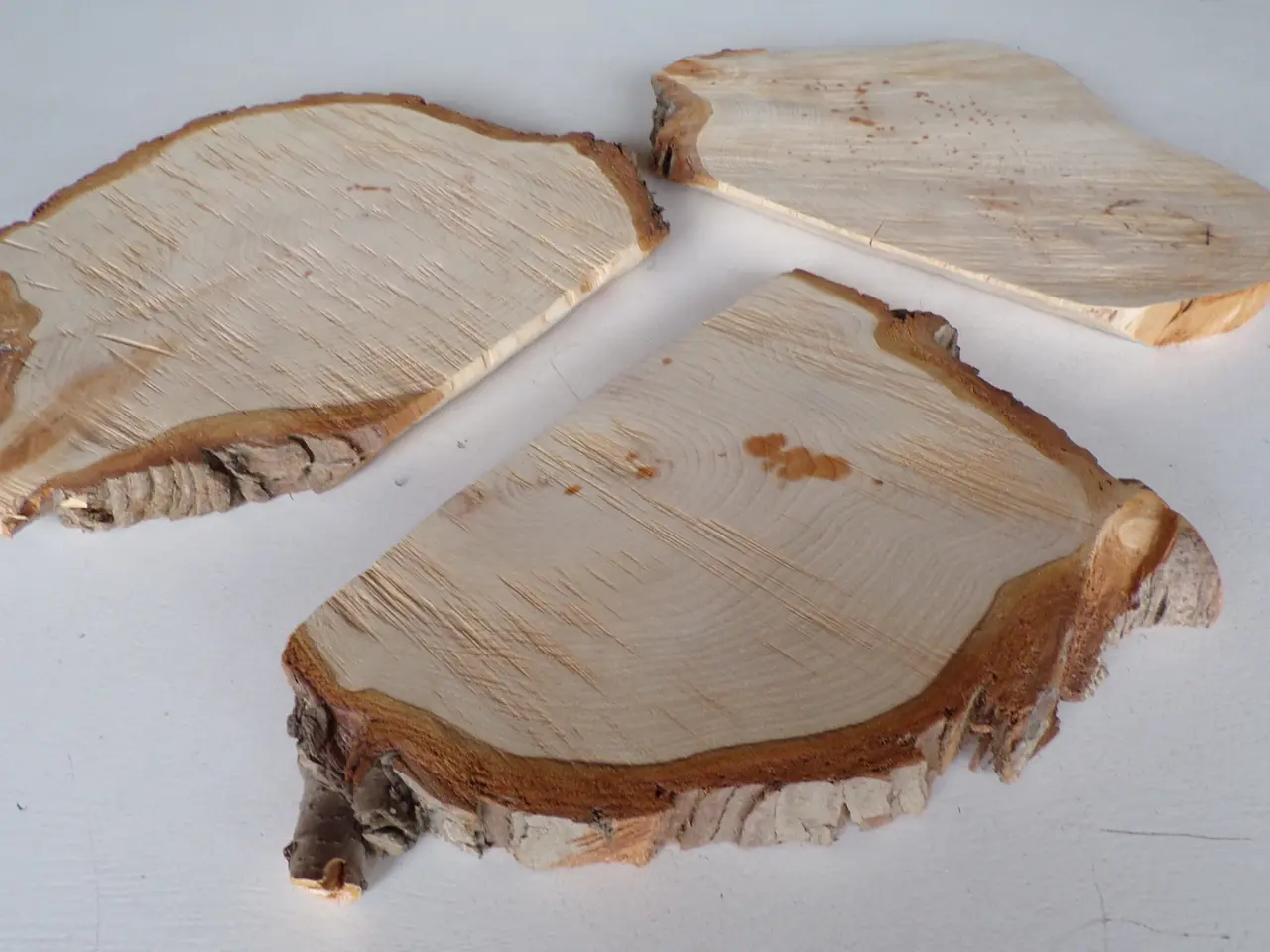Billede 3 - 3 Thuja træskiver