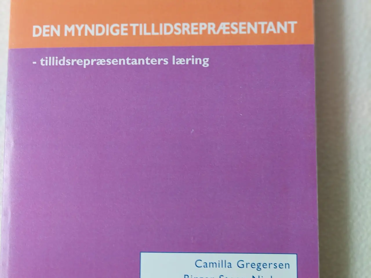 Billede 1 - Den myndige tillidsrepræsentant