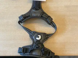 Seler, flexlinie osv