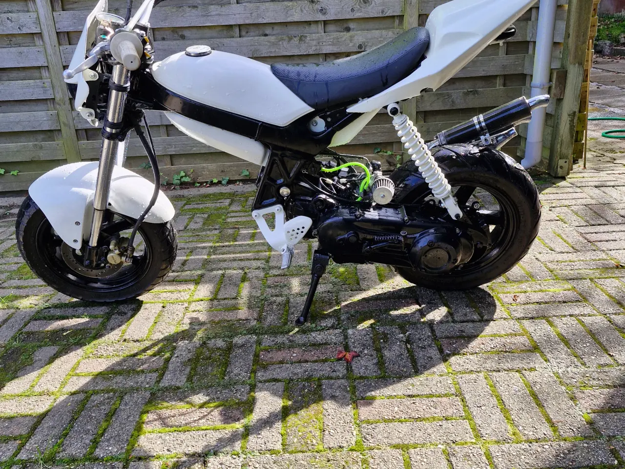 Billede 3 - Suzuki Street magic