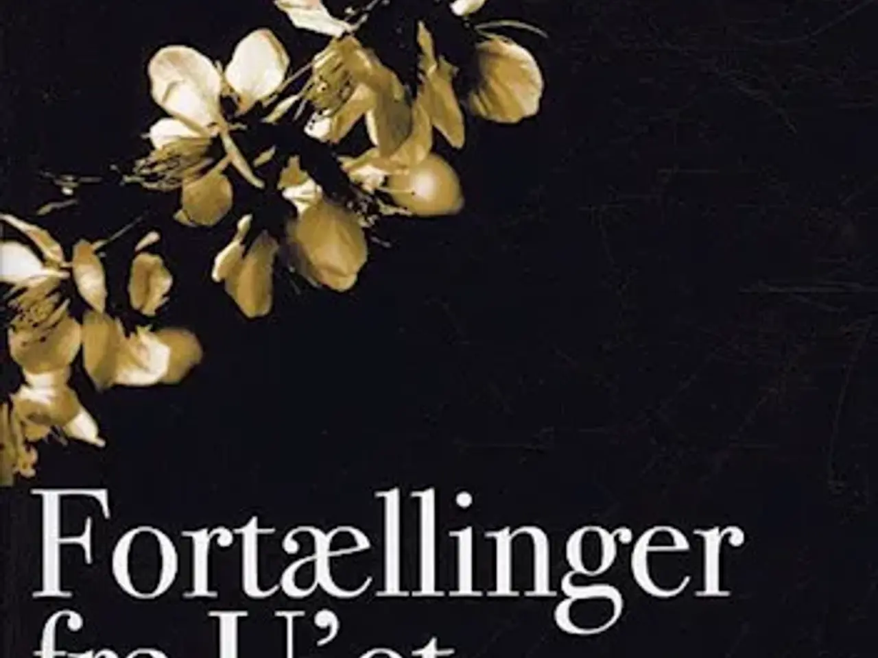 Billede 1 - Fortællinger fra U’et – Teori U