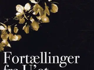 Fortællinger fra U’et – Teori U