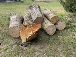 Brænde
