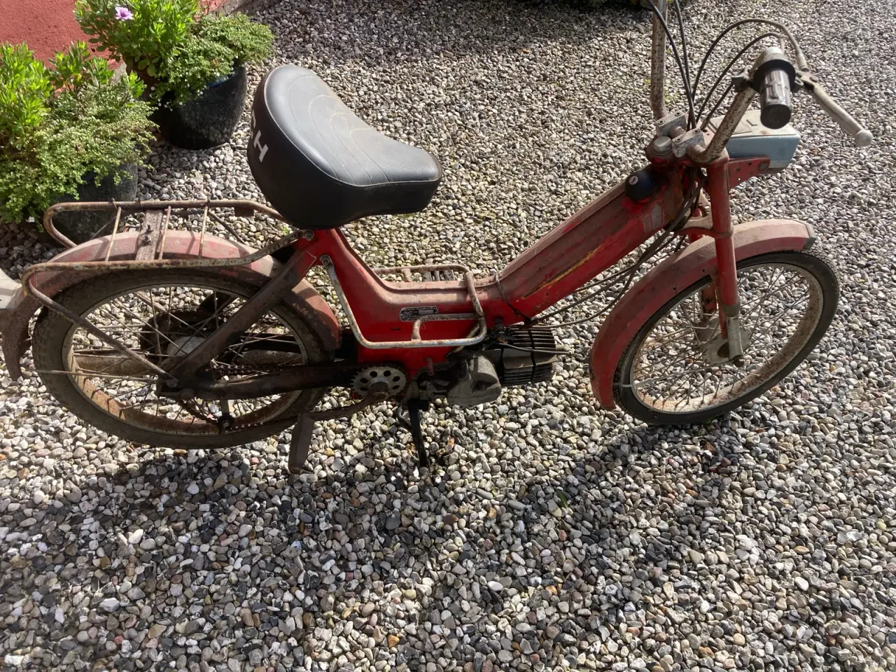 Billede 1 - Puch Maxi P