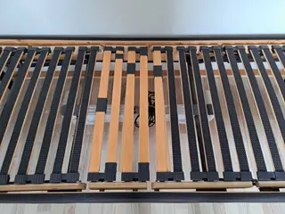 Elevationsseng