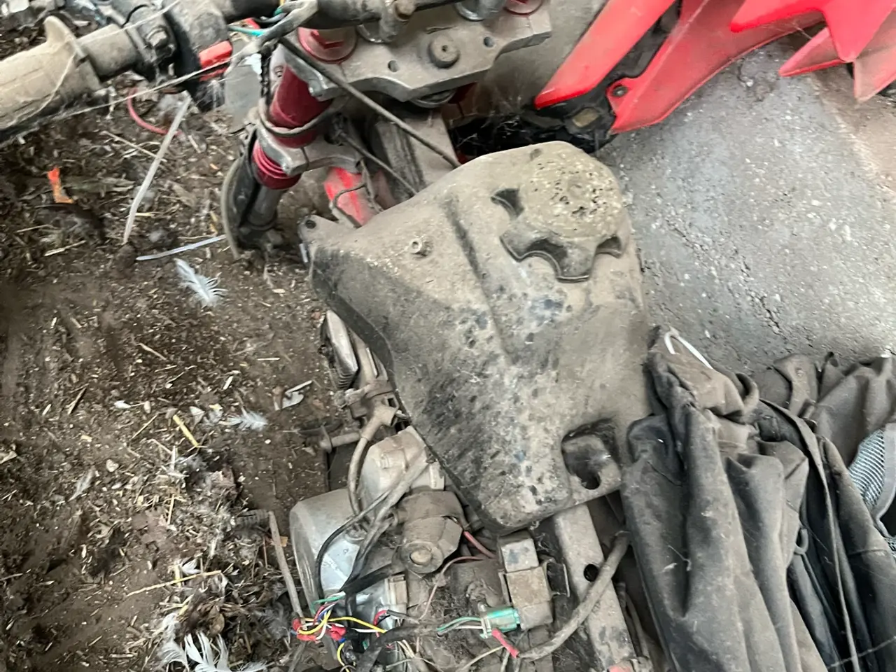 Billede 5 - Crosser kom med bud
