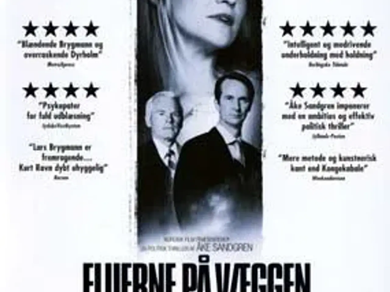 Billede 1 - Fluerne på væggen ; SE !