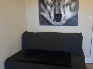 sovesofa