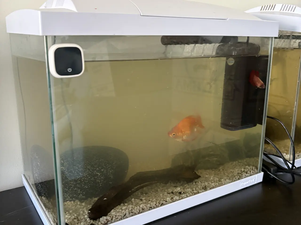 Billede 2 - 2 styks akvarie